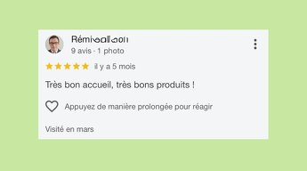 Merci à toutes les familles venues visiter la Ferme aux Escargots cet été ! - Quelques jolis commentaires reçus sur notre page Google - Image 7
