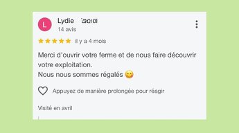 Merci à toutes les familles venues visiter la Ferme aux Escargots cet été ! - Quelques jolis commentaires reçus sur notre page Google - Image 8