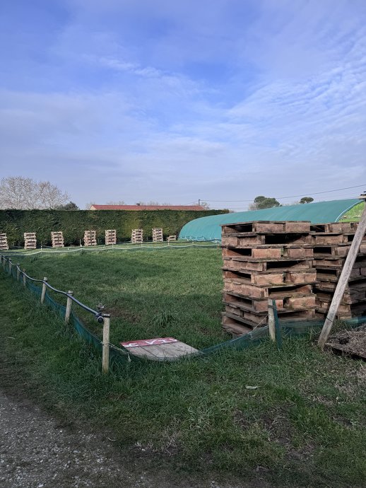 Des nouvelles de la ferme. - Début de rénovation de la serre et parcs avant rénovation. - Image 2