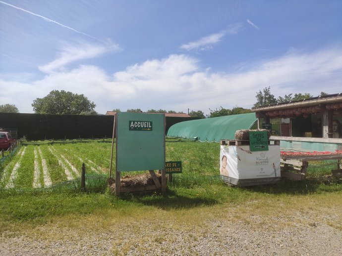 Une jolie ferme pour vos visites! - En images: - Image 1