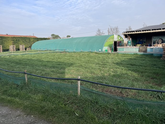 Une jolie ferme pour vos visites! - En images: - Image 3
