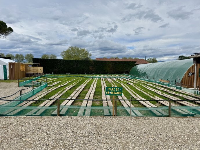 Une jolie ferme pour vos visites! - En images: - Image 4