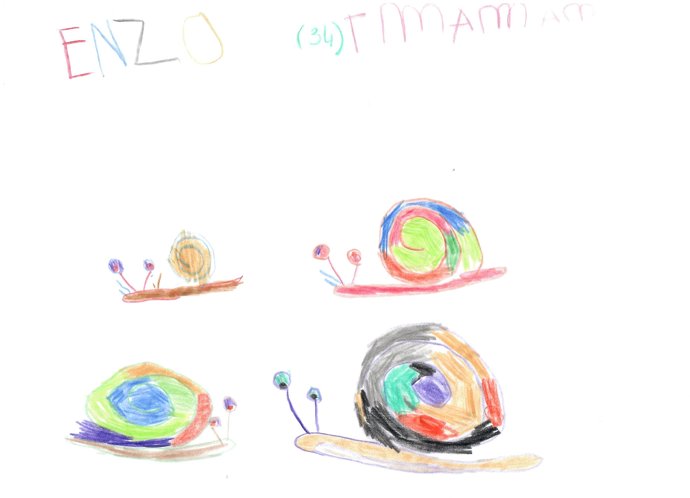 Merci à toutes les familles venues visiter la Ferme aux Escargots cet été ! - Les beaux dessins de nos petits visiteurs artistes en herbes - Image 3