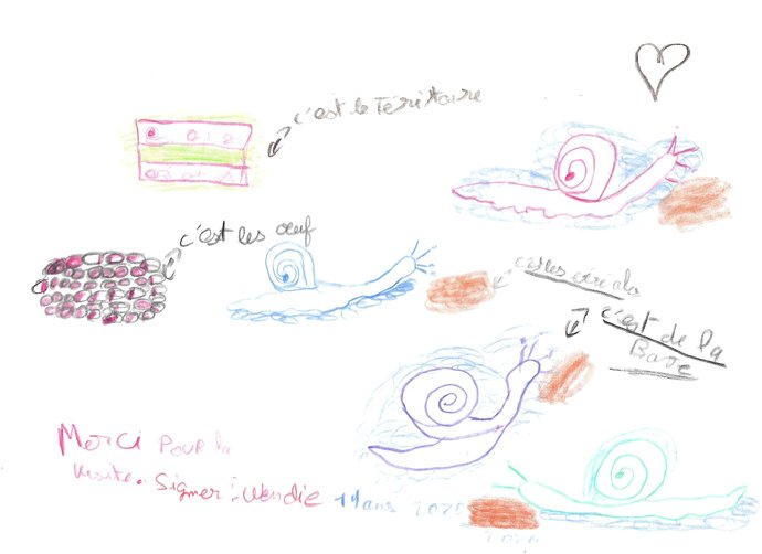 Merci à toutes les familles venues visiter la Ferme aux Escargots cet été ! - Les beaux dessins de nos petits visiteurs artistes en herbes - Image 11