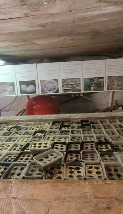 Portes ouvertes "De Ferme en Ferme": un magnifique week-end à La Ferme aux Escargots - Moments capturés pendant ces deux journées  - Image 7