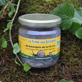 Verrine de 36 escargots "Gros Gris" BIO de la Ferme (Belle Taille) - La Ferme aux Escargots - Image 1